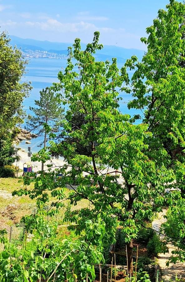 Room Soba U Opatiji Na Lipovici Opatija Eksteriør bilde